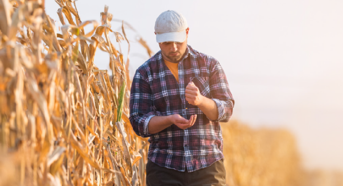 Senyo mobile app preview